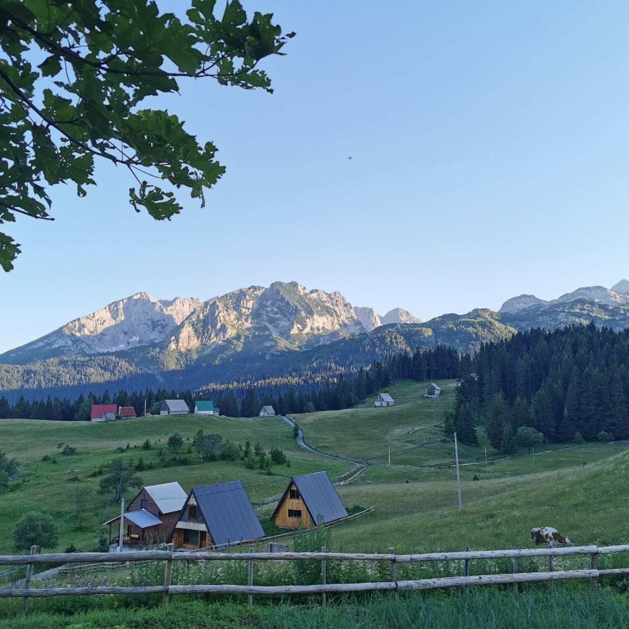 Bosaca Villa Zabljak  Exterior photo